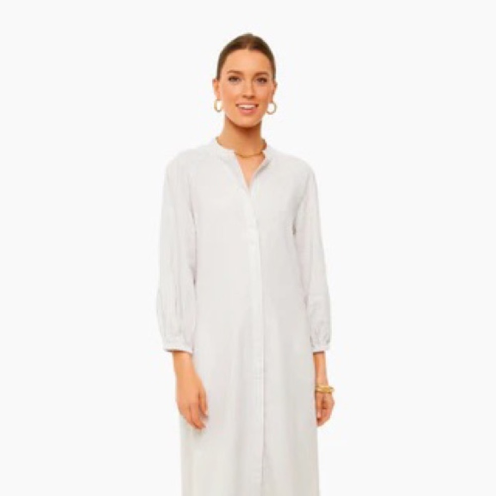 COPY - NWT Tuckernuck Logan Seersucker Dress